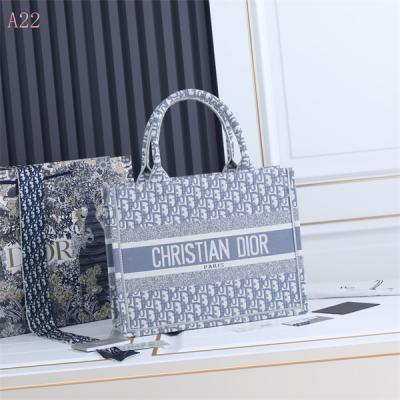 Dior Bags AAA 061
